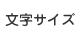文字サイズ